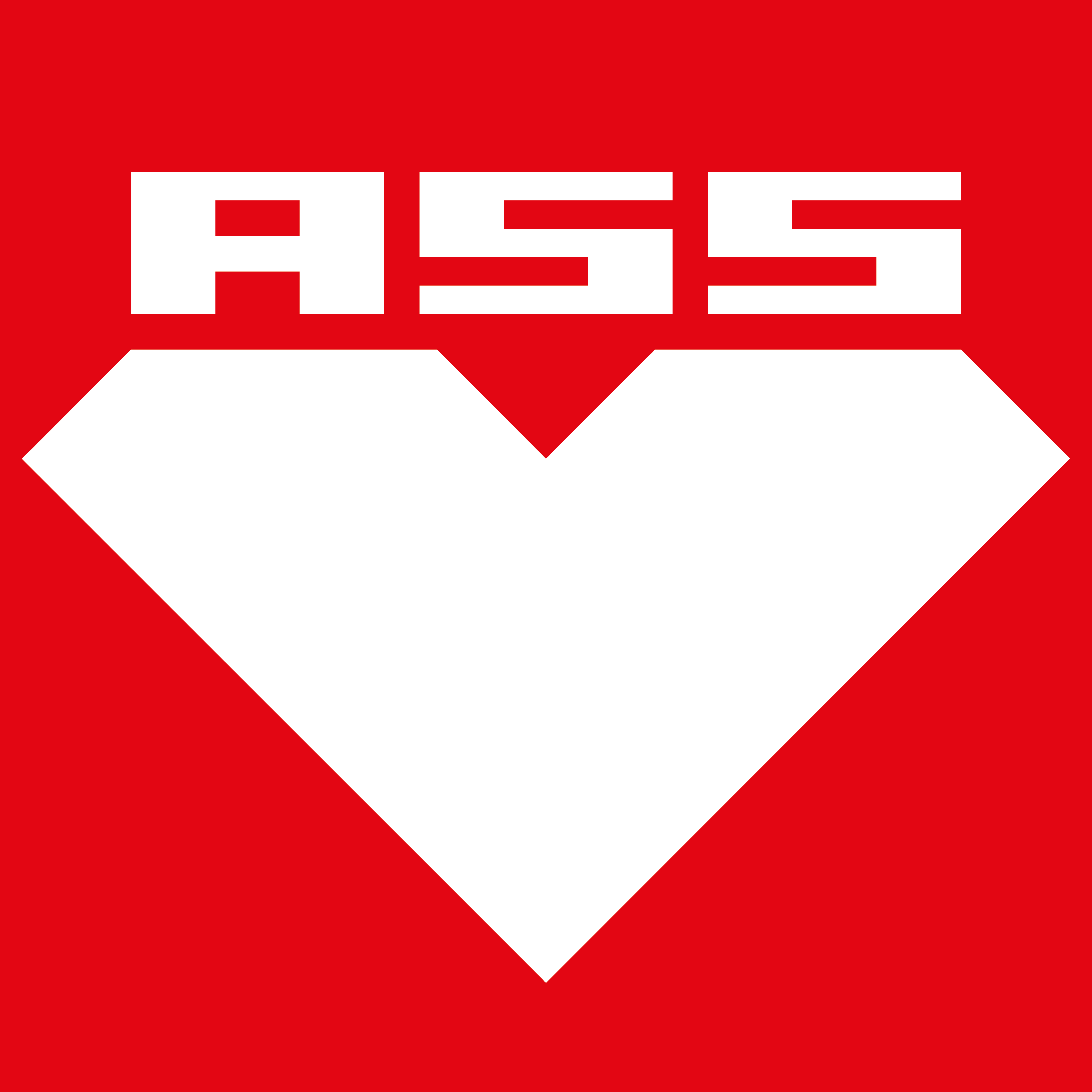 ASS-Einrichtungssysteme GmbH